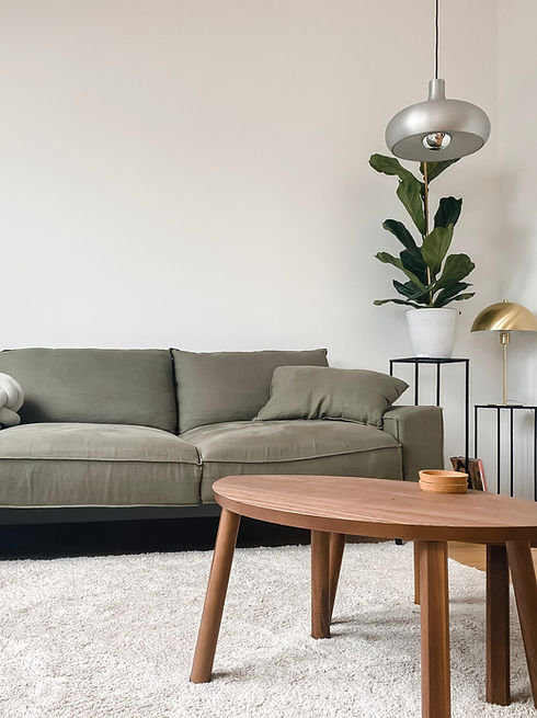 Scandinavian Living Room