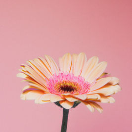 Joy is always an integral part