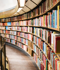 Image by Susan Q Yin