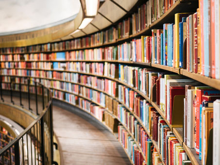 From the Bookshelves: Burn Fortune
