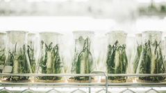 Science funding is being recast as a lever of power