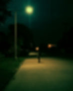 Eye-level view of a winding path through a dense forest