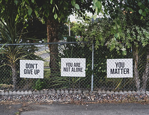 Image by Dan Meyers