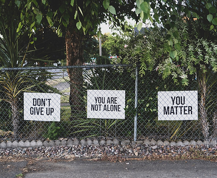 Image by Dan Meyers