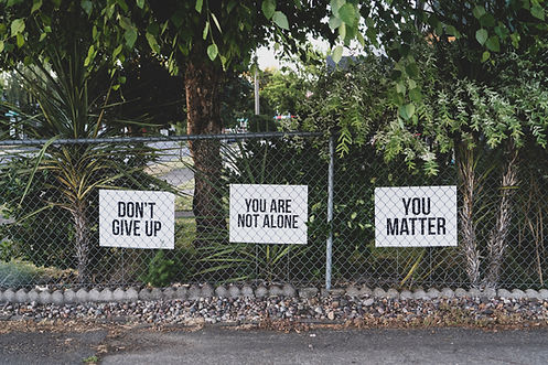 Image by Dan Meyers