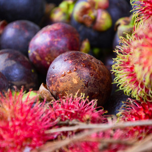 Exotic Tropical Fruits