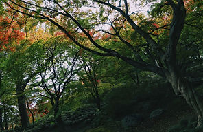 Bild von Zhipeng Ya