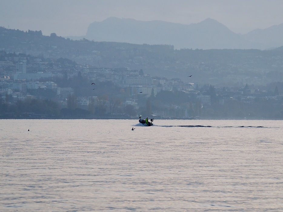 Image de Adrien Aletti