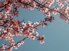 The Power of Forgiveness