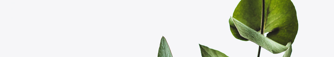 Image by Annie Spratt