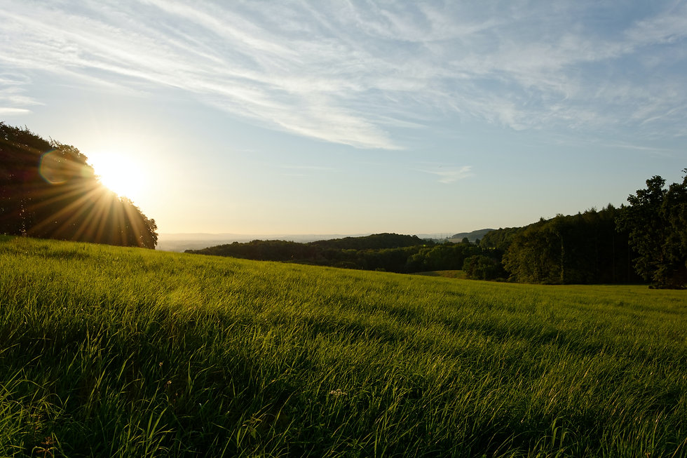 Image by Matthias Neufeld