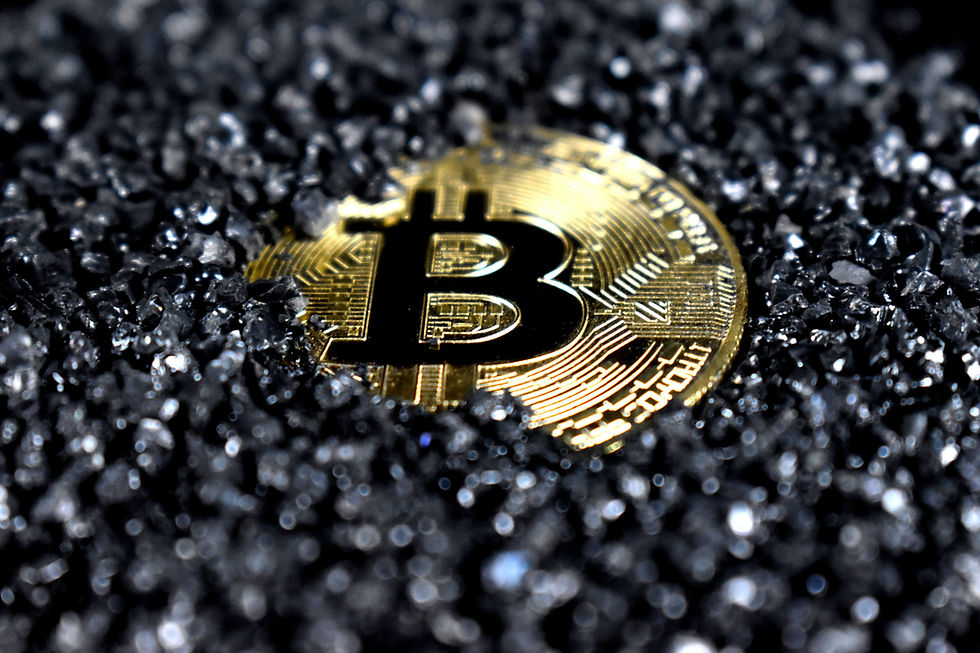 CRYPTOPIA