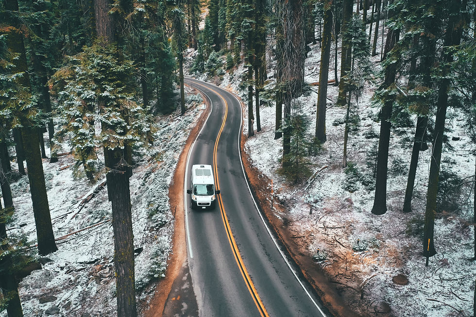 Image by Drew Dau