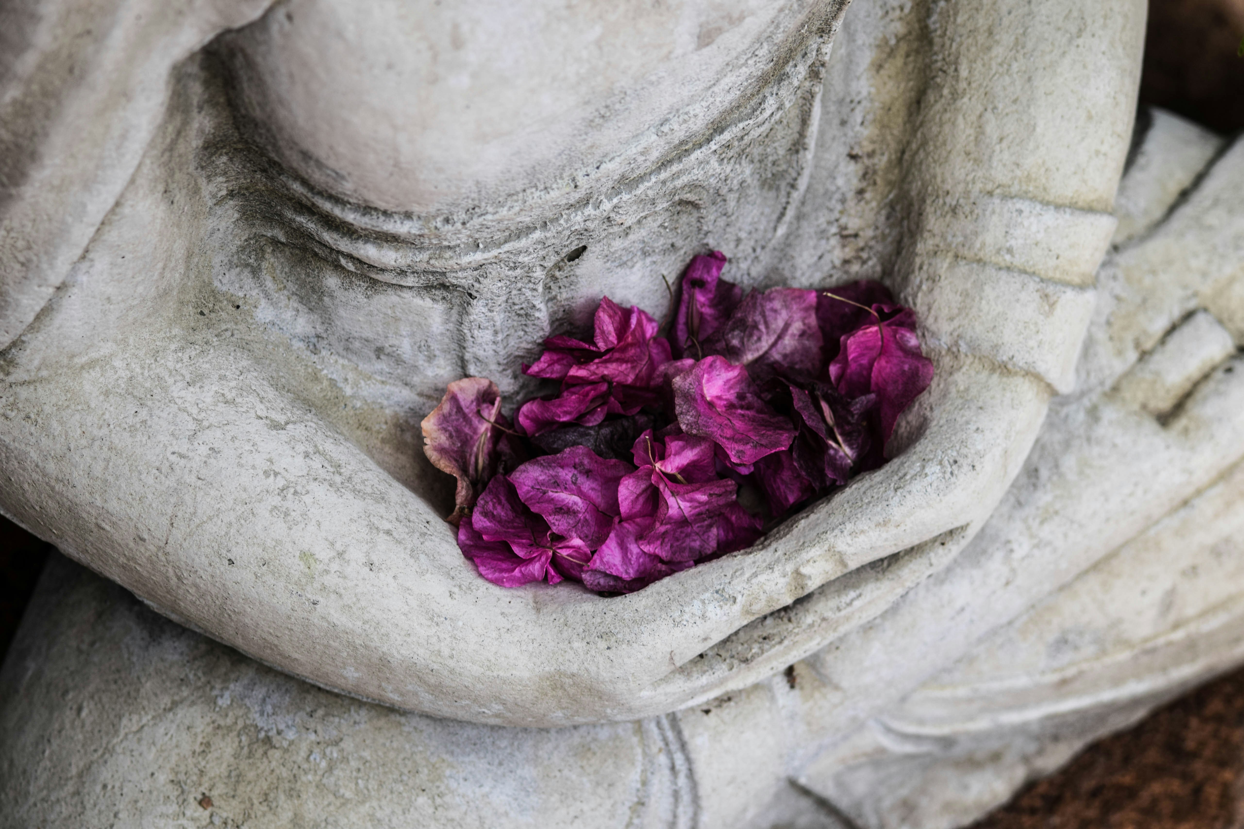 Image by Chris Ensey
