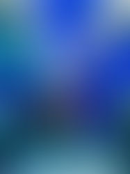 Discovering the Wonders of Antalya: A Family Trip to the Aquarium and Face to Face Wax Museum