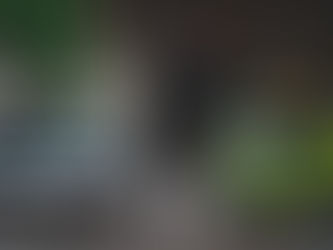 Unfallstatistik in Bonn