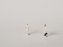 Image by Annie Spratt