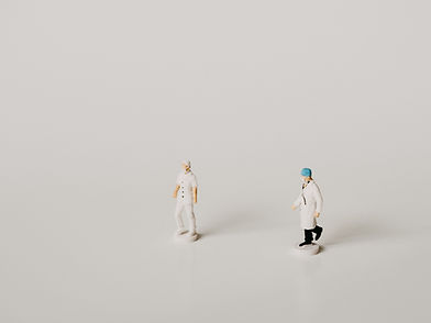 Image by Annie Spratt