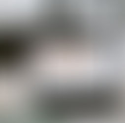 Infowebinare Termine 2026