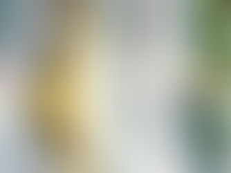 3 Razões que tornam o PVC uma escolha inteligente.