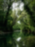 Image by Benjamin LECOMTE