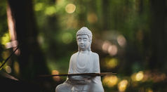 Méditation en forêt jurassienne pendant un séjour de ressourcement