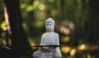 Méditation en forêt jurassienne pendant un séjour de ressourcement