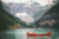 Image by Andrew Ly