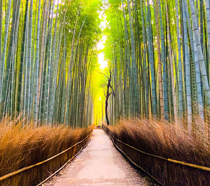 Image by Takashi Hamada