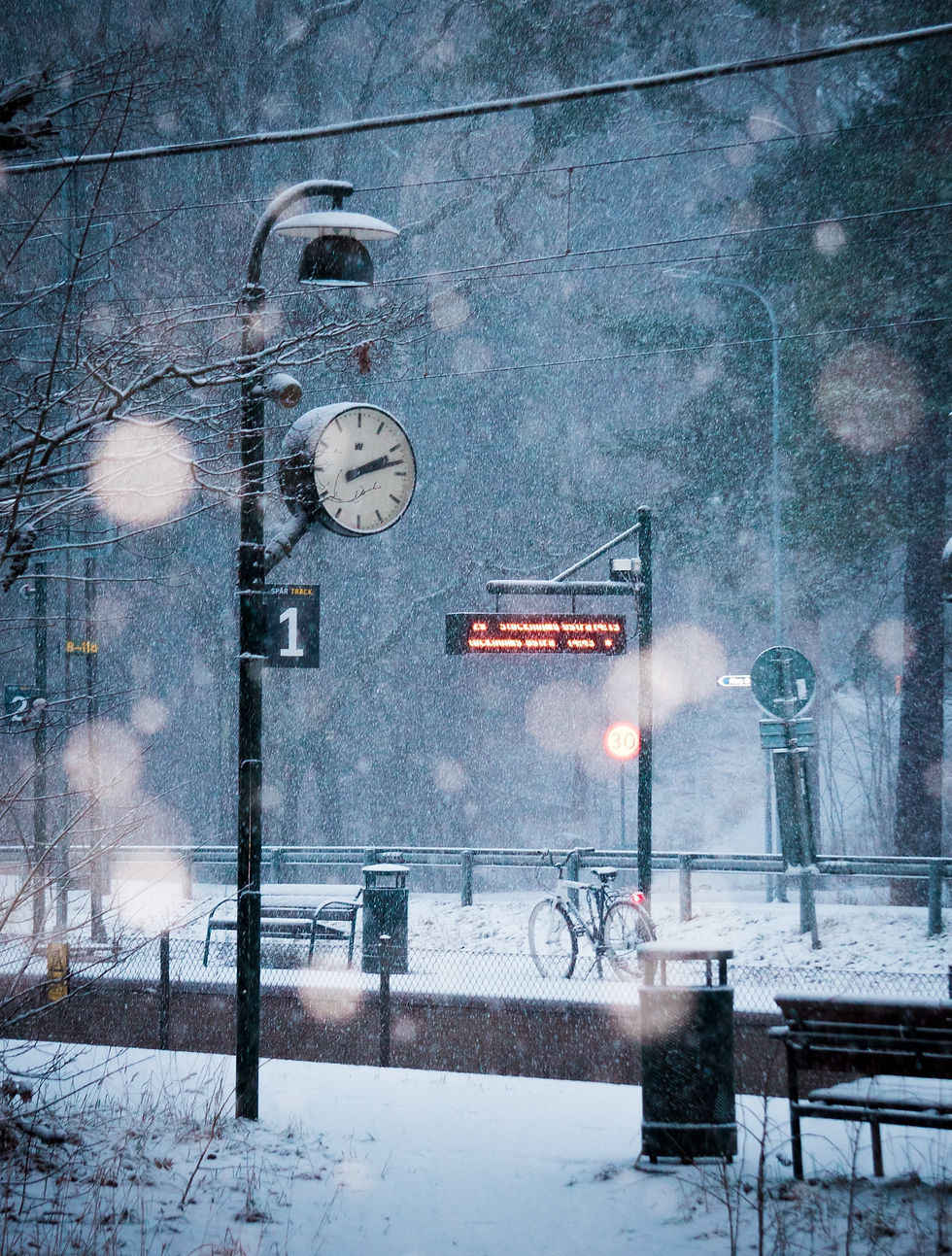 Snow Covered Winter Landscape