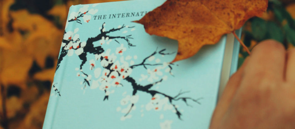 Hands holding "Ikigai" book with autumn leaves background, orange sweater visible. A yellow leaf rests on the book cover. Cozy mood.
