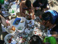 Join Clean Coasts’ Big Beach Clean 2025 and take action against marine litter