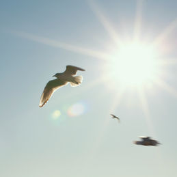 ASCENSION DAY WORSHIP SERVICE MAY 17TH 11AM 