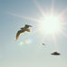ASCENSION DAY WORSHIP SERVICE MAY 17TH 11AM 