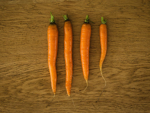CARROT, STICK, CARROT?