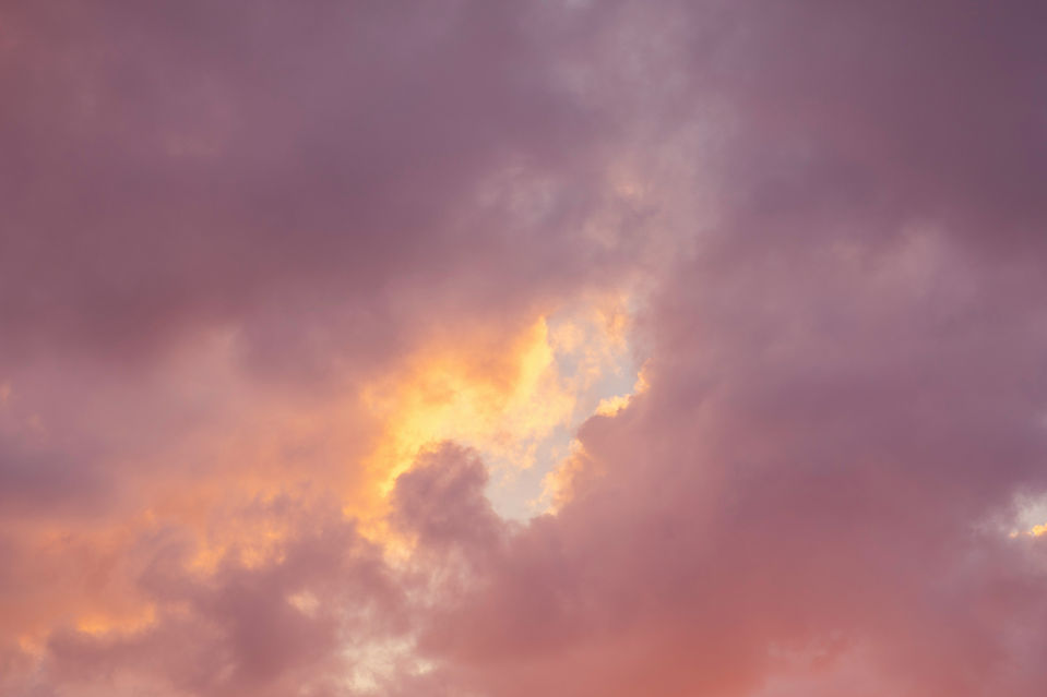 Image by Madison Oren
