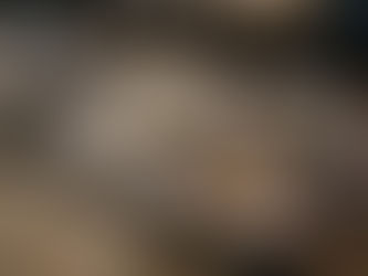 What Did You Look Forward to the Most as a Child"