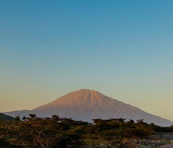A Beautiful Day of Pleasant Safari Wonders