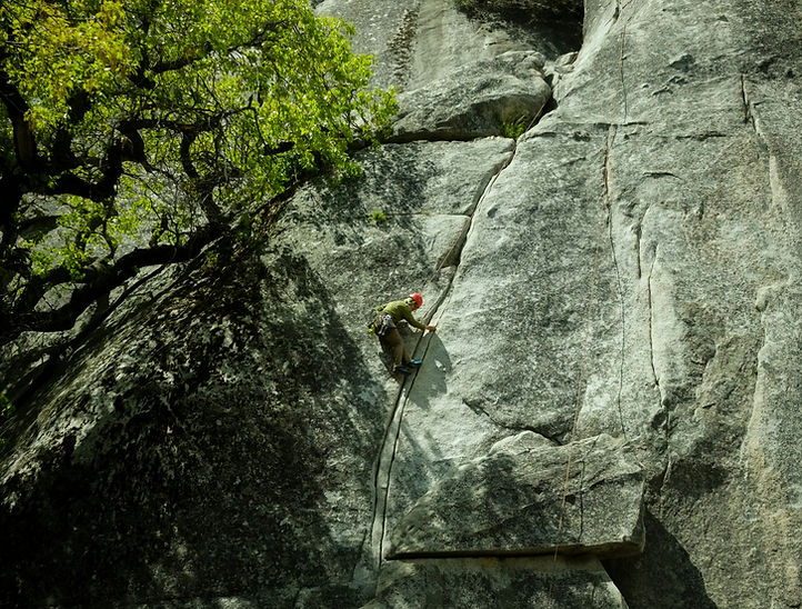 Image by David Moorhouse