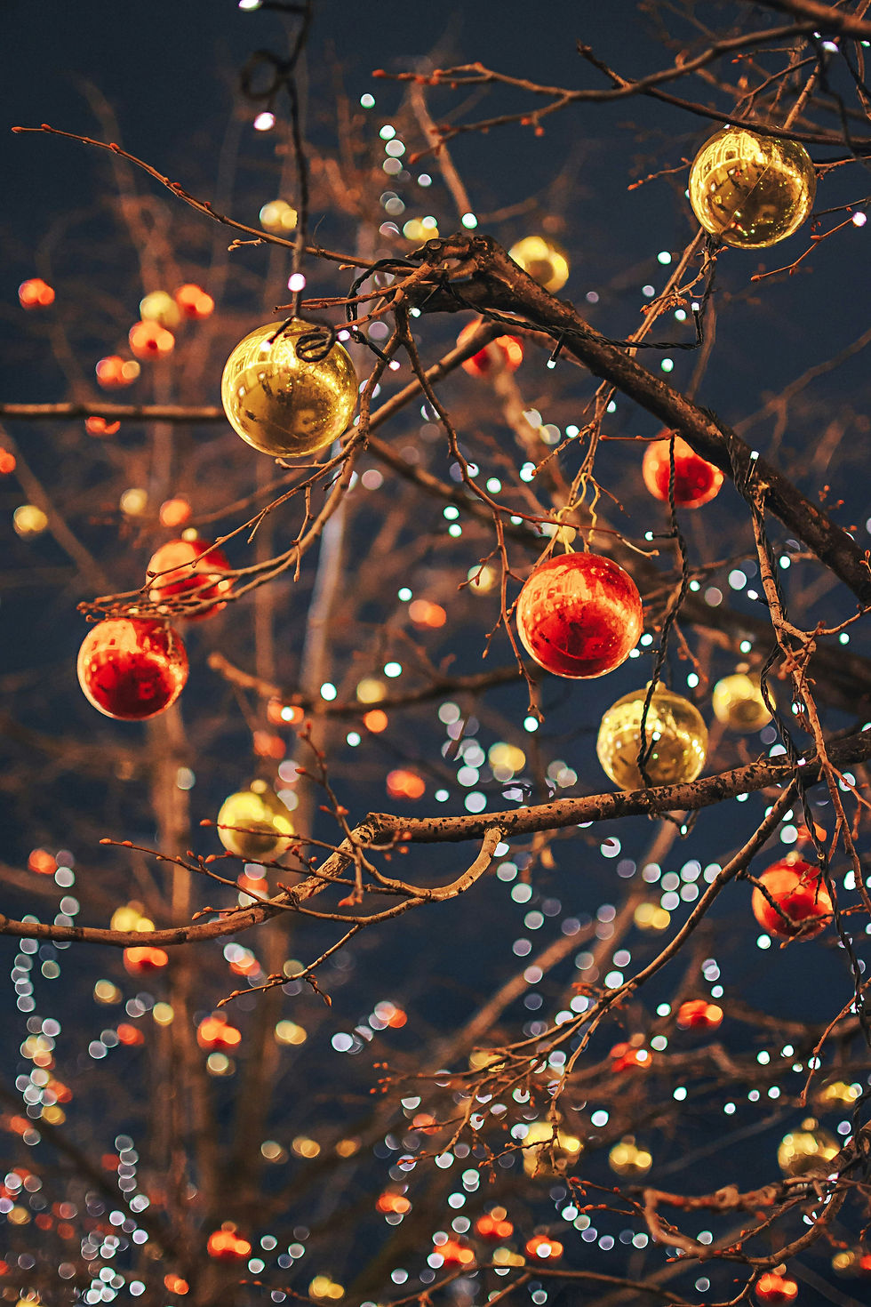 Boules de Noël sur des arbres.