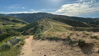 Image by Nica Lorber