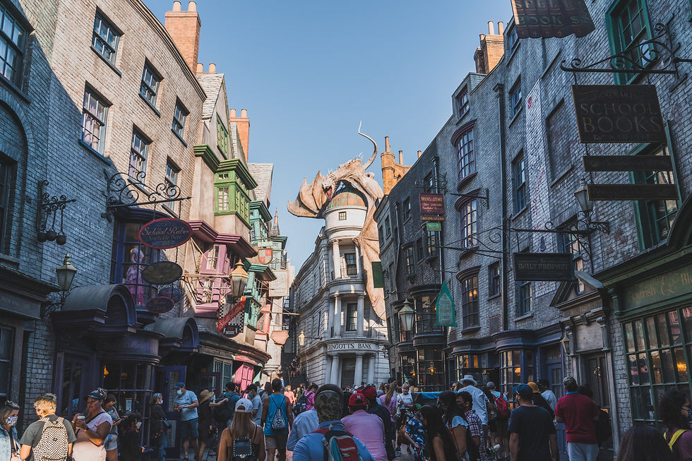 Jalaine Pazer Travel Advisor | Universal Studios | Orlando | Harry Potter