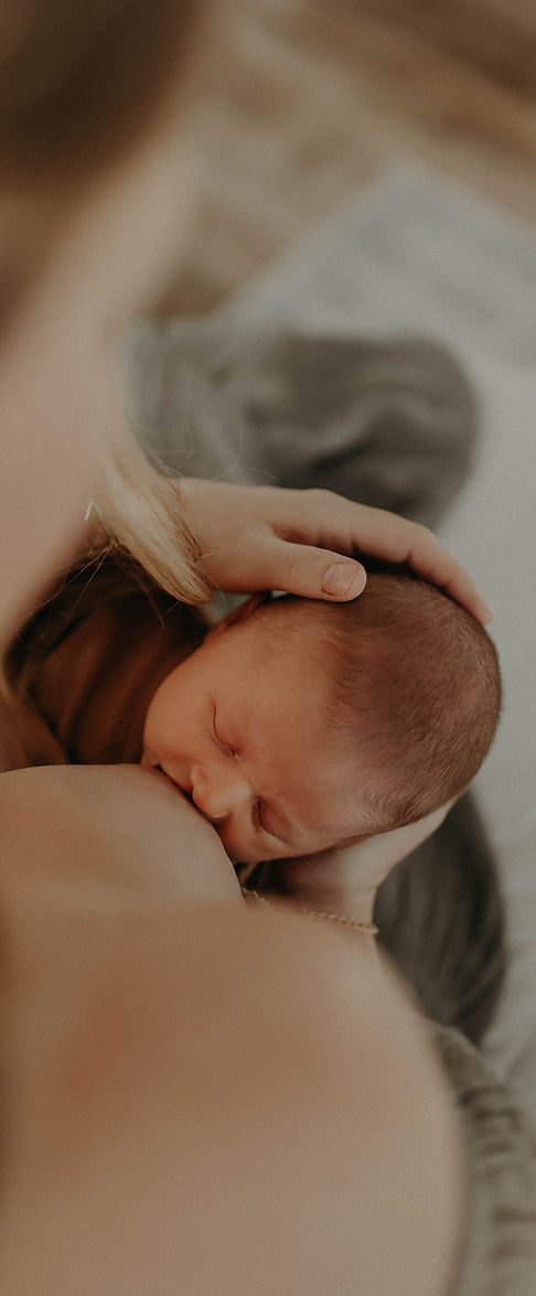 Image by Mother of Wilde