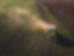 farm field from above