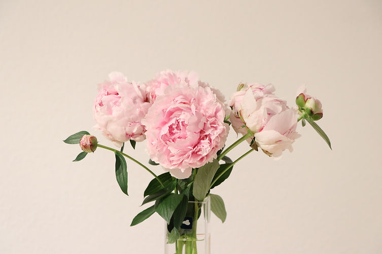 Image by Julia