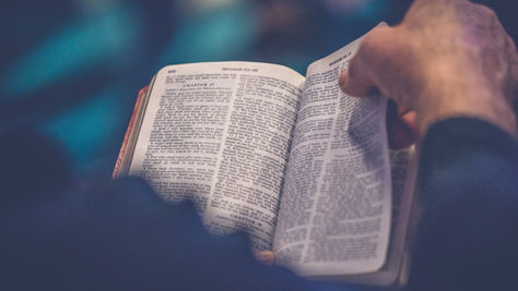 Person Reading the Bible
