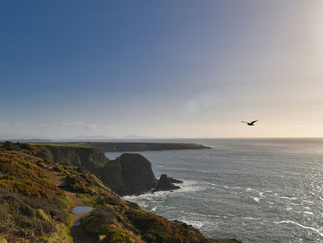 The Story of Oisín and Niamh