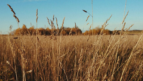 Image by Dmitrii Nor