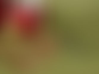 Festive eyeglasses beside Christmas gift boxes, representing holiday eye care and eyewear