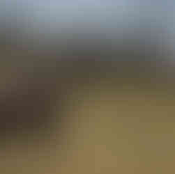 safari tanzanie prix